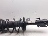 Front shock absorber with coil spring