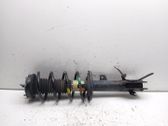 Front shock absorber with coil spring
