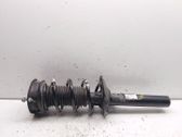 Front shock absorber with coil spring