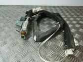 Front door airbag