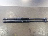 Tailgate/trunk strut/damper