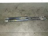 Front bonnet/hood damper/strut