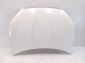 Motorhaube