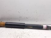 Rear shock absorber/damper