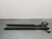 Tailgate/trunk strut/damper