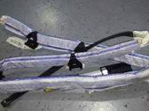Front door airbag