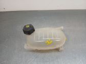 Fuel expansion tank