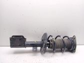 Front shock absorber with coil spring