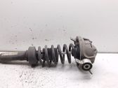 Rear shock absorber/damper