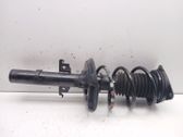 Front shock absorber with coil spring