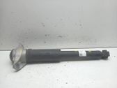 Stoßdämpfer hinten