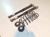 Rear shock absorber/damper