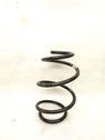 Front coil spring