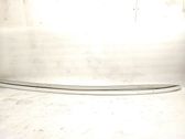 Roof trim bar molding cover