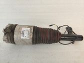 Front shock absorber/damper