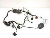 Front door wiring loom