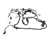 Front door wiring loom