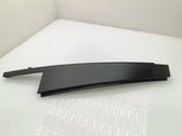 Rear door glass trim molding