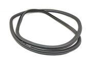 Rear door rubber seal (on body)