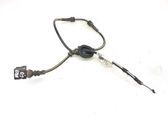 Cableado del sensor ABS trasero