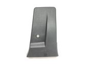 (B) pillar trim (bottom)