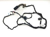 Rear door wiring loom