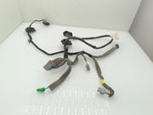 Rear door wiring loom