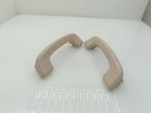 Front interior roof grab handle