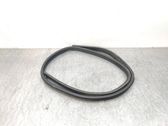 Rear door rubber seal (on body)