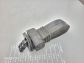 Rear door check strap stopper