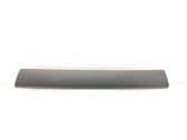 Rear door glass trim molding