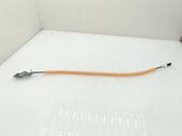 Rear door cable line
