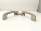 Rear interior roof grab handle