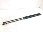 Tailgate/trunk strut/damper