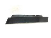 Rear door glass trim molding