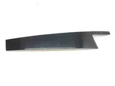 Rear door glass trim molding
