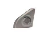 Front door high frequency speaker