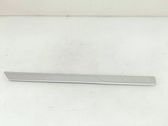 Front sill trim cover