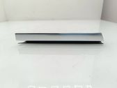 Rear door glass trim molding