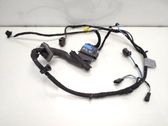 Front door wiring loom