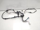Rear door wiring loom