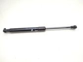 Front bonnet/hood damper/strut