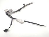 Negative earth cable (battery)