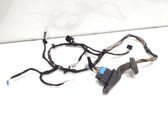 Rear door wiring loom
