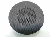 Panel speaker