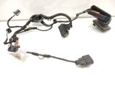 Rear door wiring loom