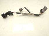 Sensor de petardeo del motor