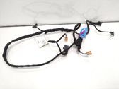 Front door wiring loom
