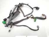 Front door wiring loom