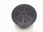 Front door high frequency speaker